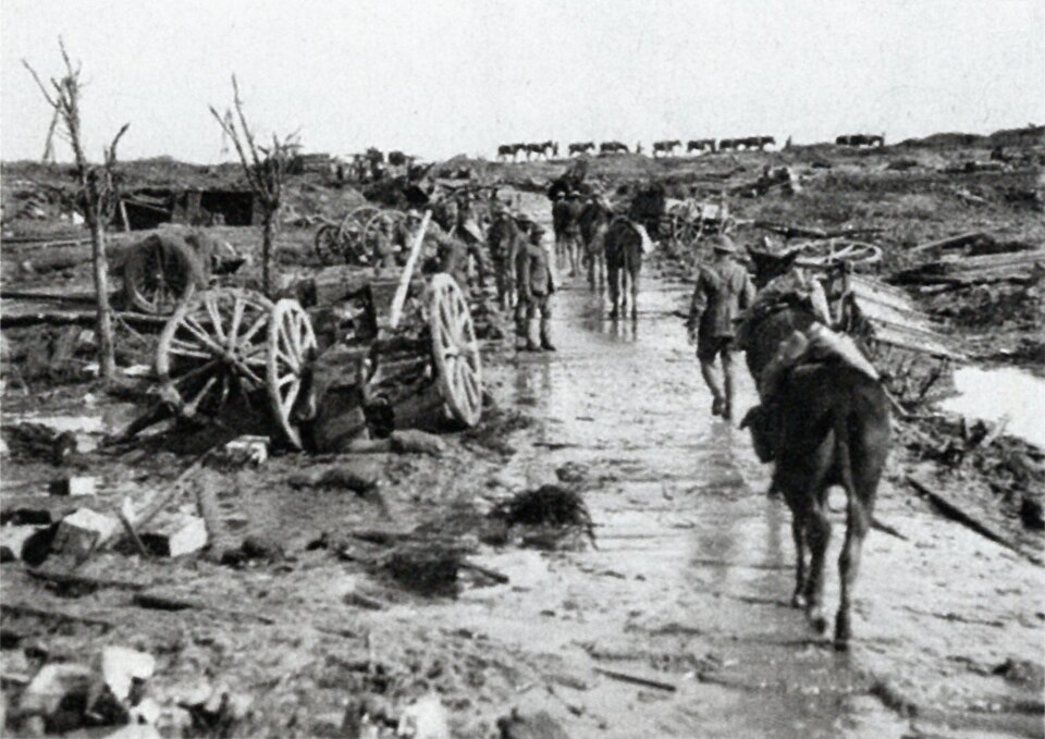 File:Frank Hurley component image -- horses on horizon 002.jpg