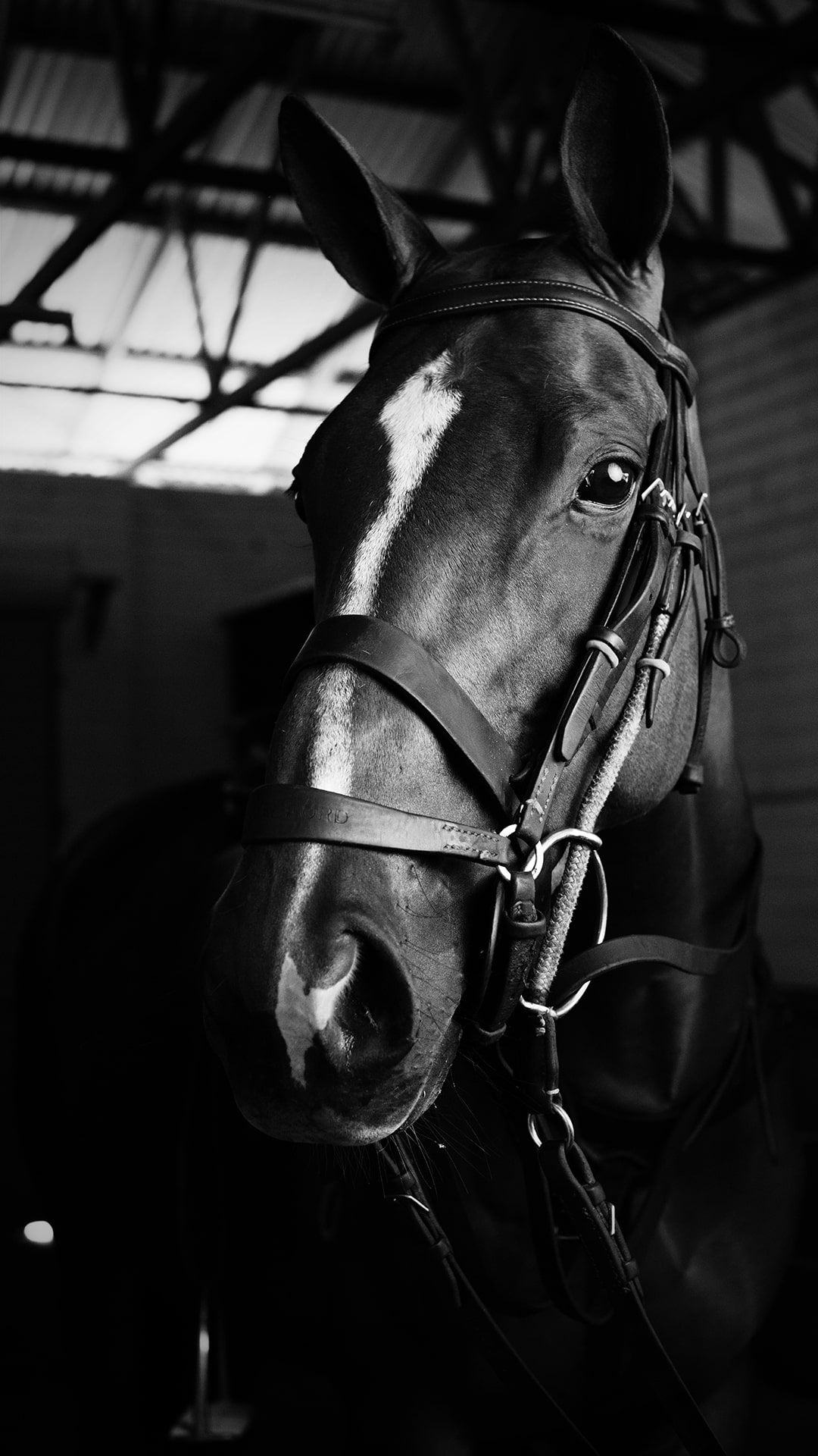 Reasons for a Runny Nose