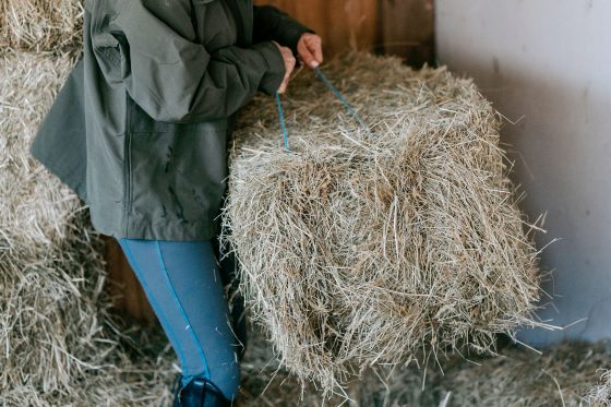 DIY Barn Hacks
