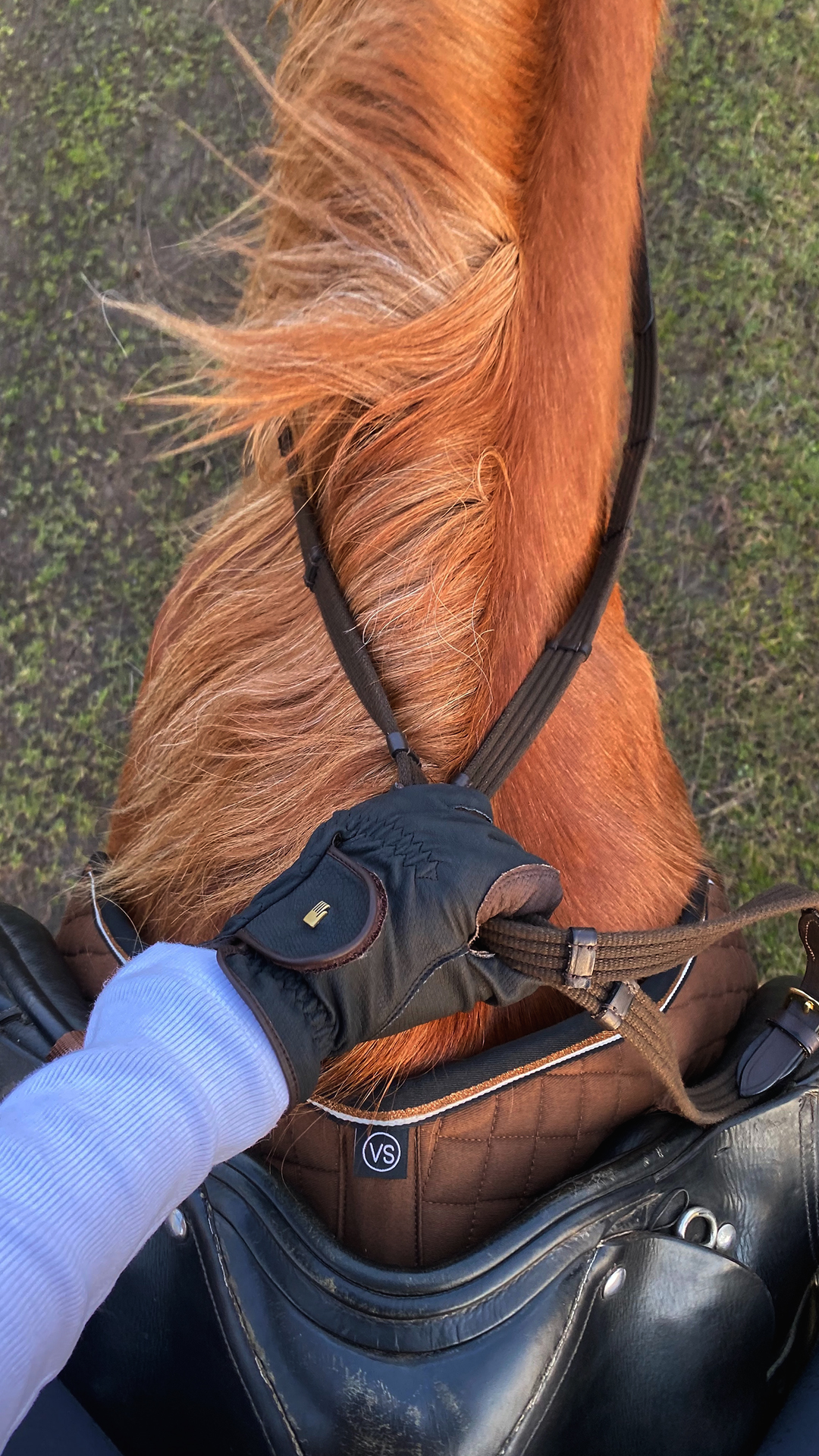 Getting Ready for the New Season