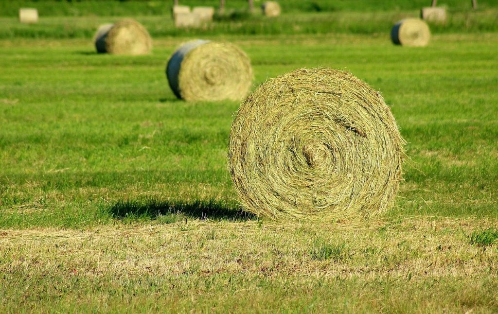 Round Bale