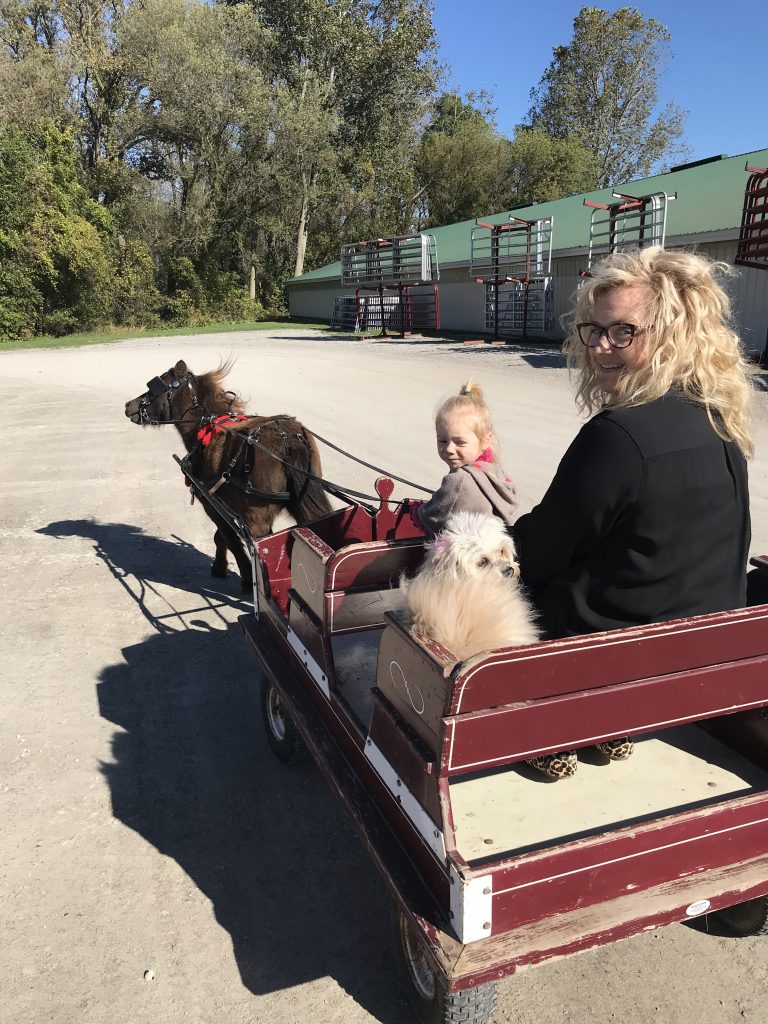 Fall Decor: Blankets