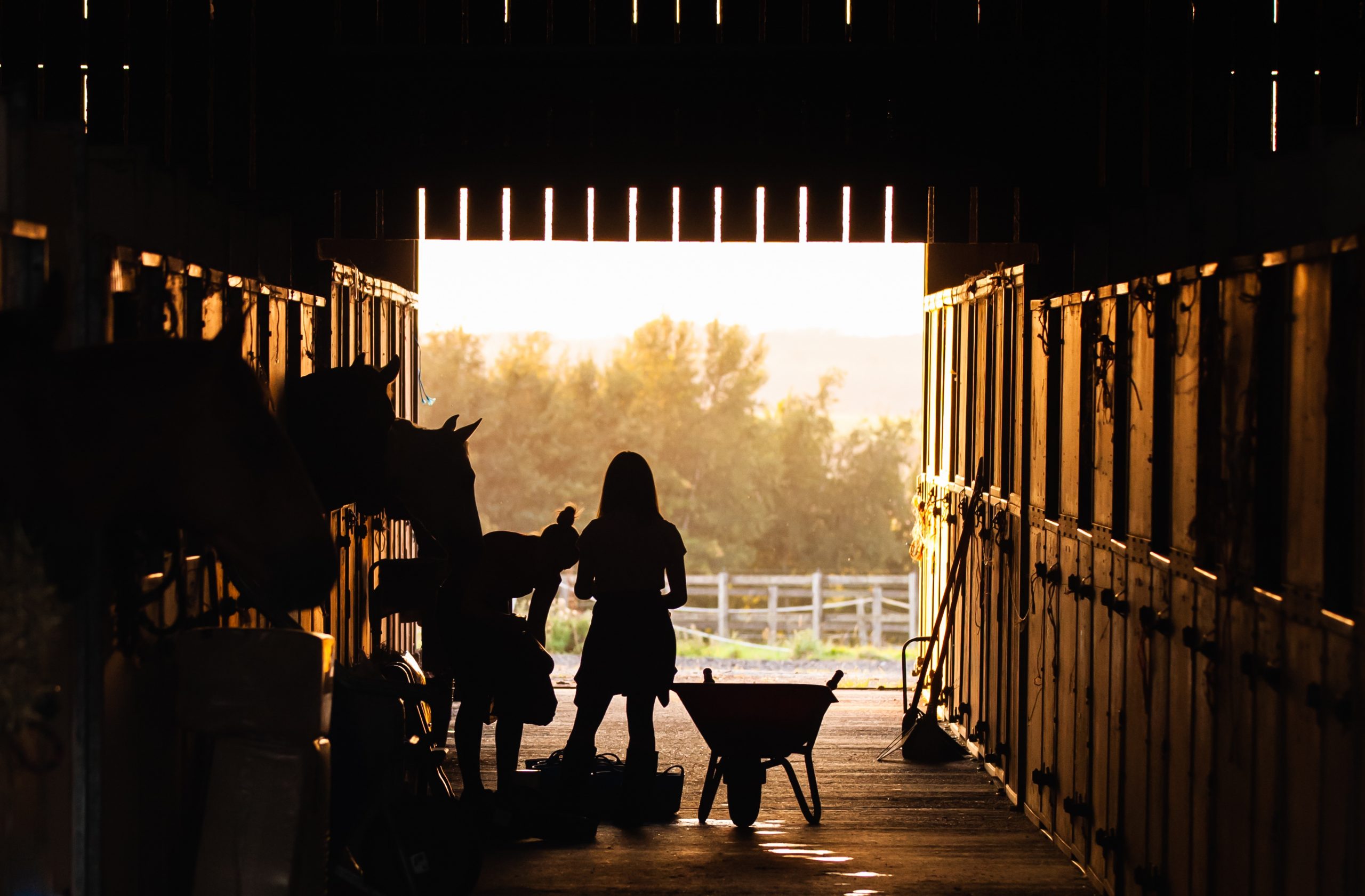 The Perfect Barn Playlist