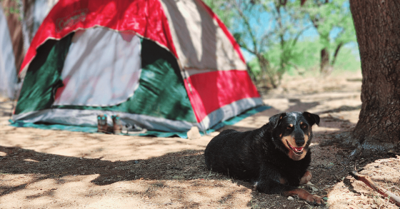 Minimalistic Camping 101