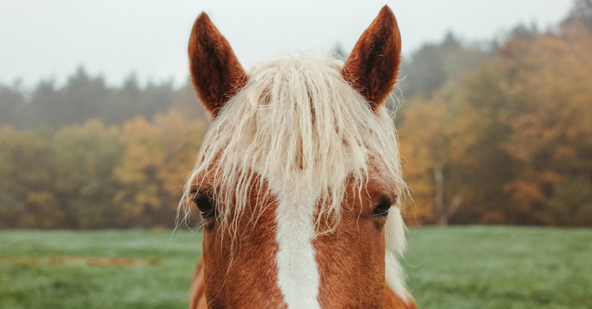 Getting Ready for the New Season