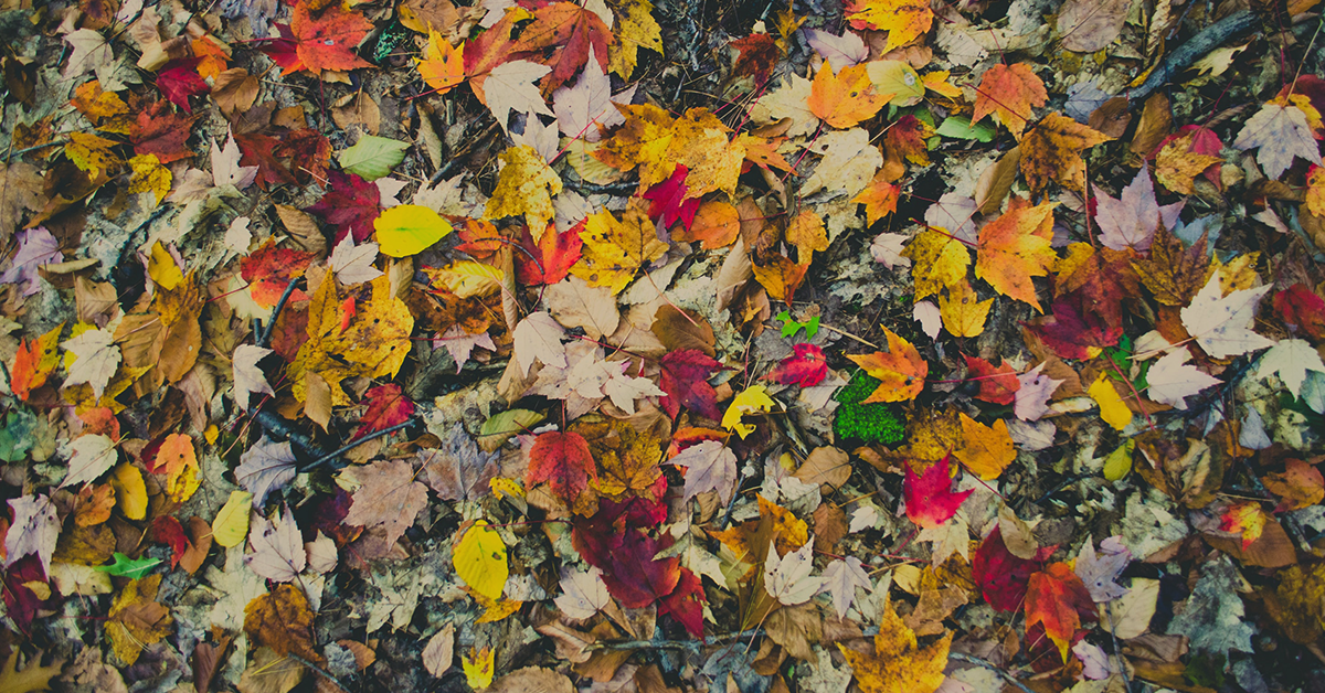 Getting Ready for the New Season