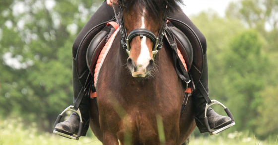 Guidelines for Taking Your Horse into the Backcountry