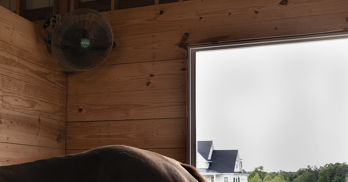 Tips for Keeping Your Barn Cool This Summer