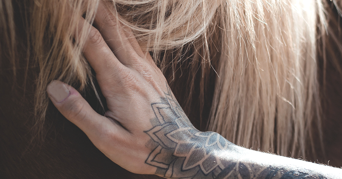 How to Give Your Horse a Massage