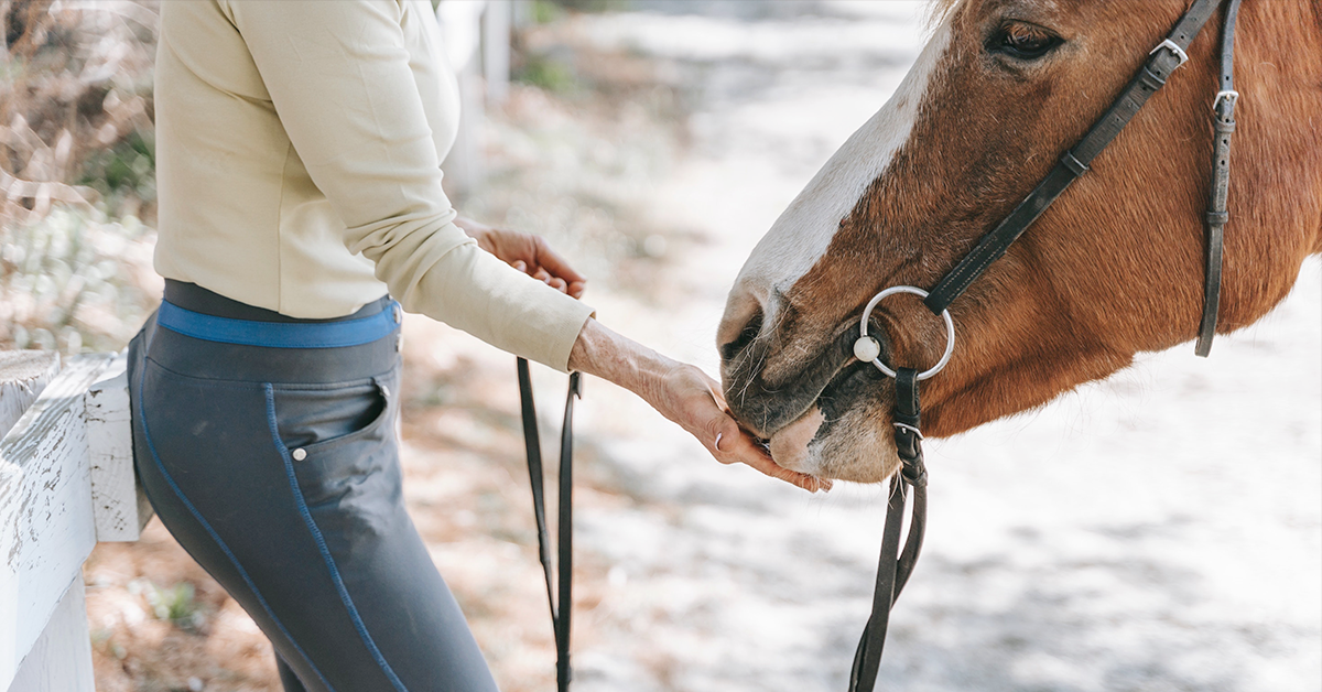 How to Overcome Your Riding Fears
