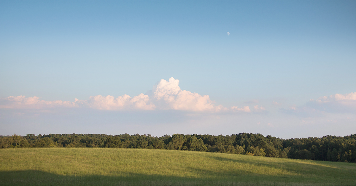 Summer Horse Jobs for Teens (or Adults!)