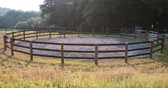 Flex Fence Round Pen